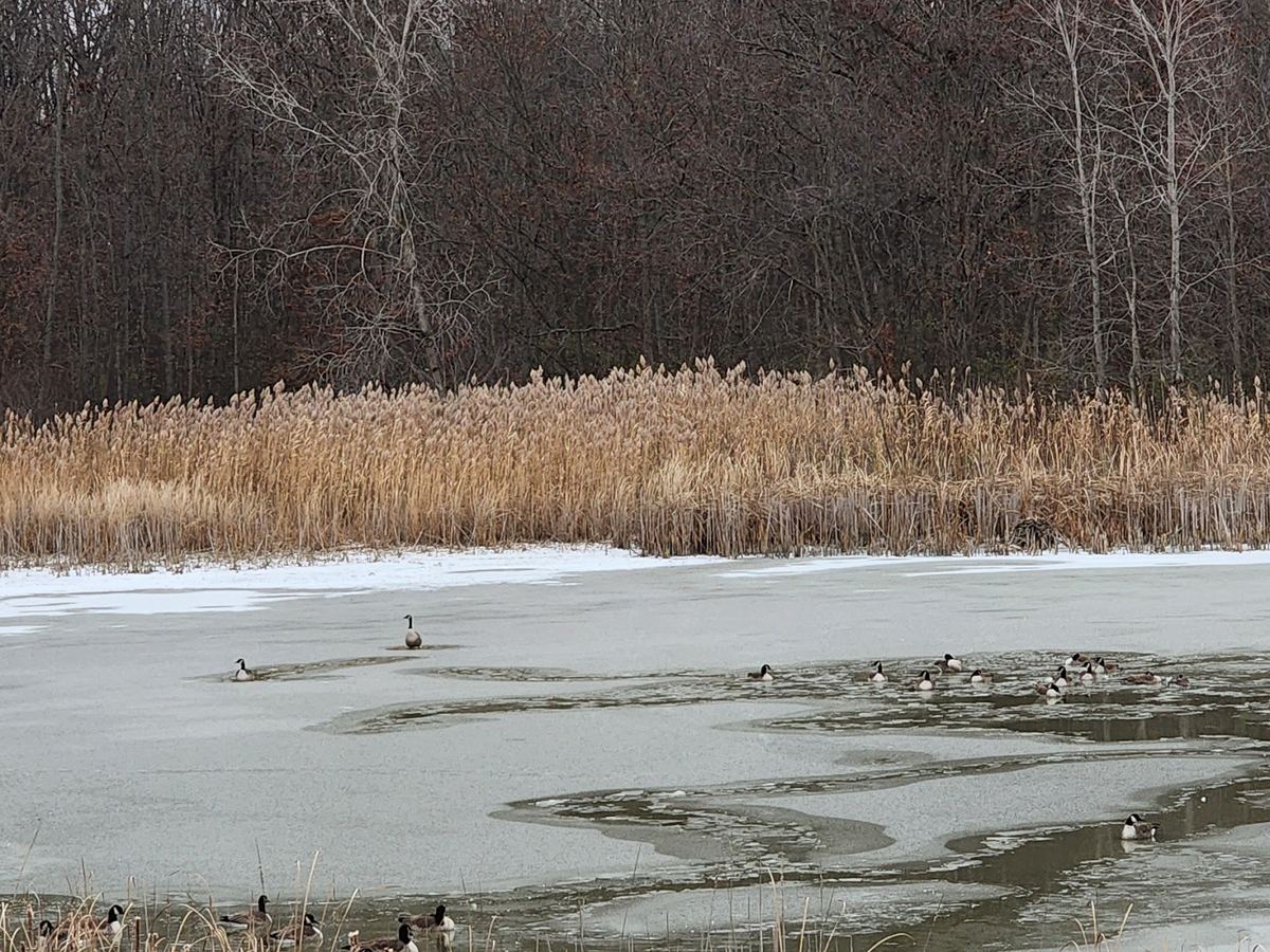 Charter Township of Ypsilanti — Community