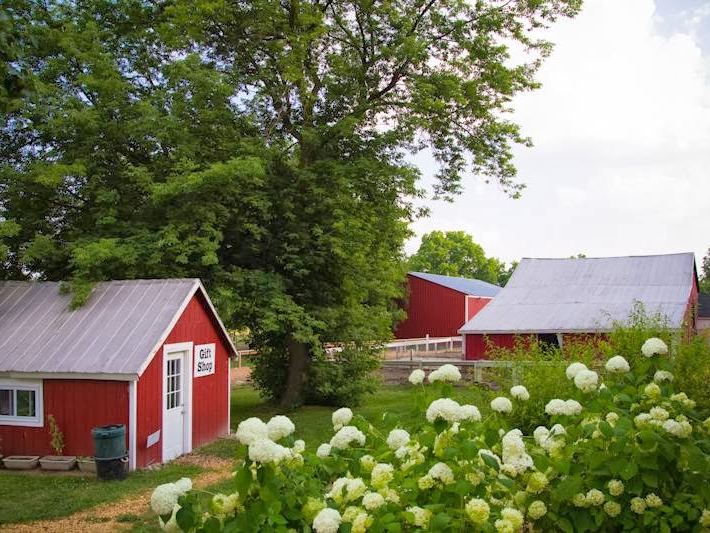 Dawn Farm Community Barn — Recreation