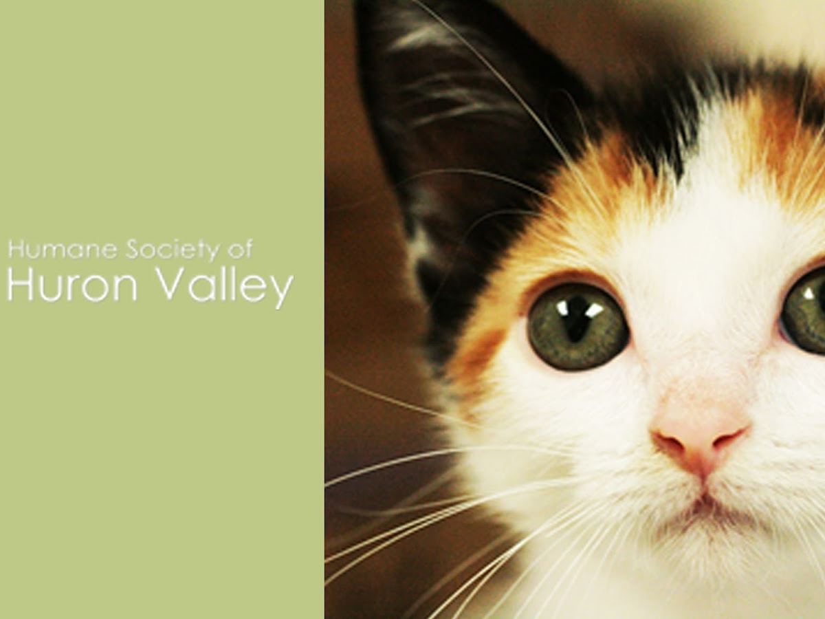 Humane Society of Huron Valley — Community