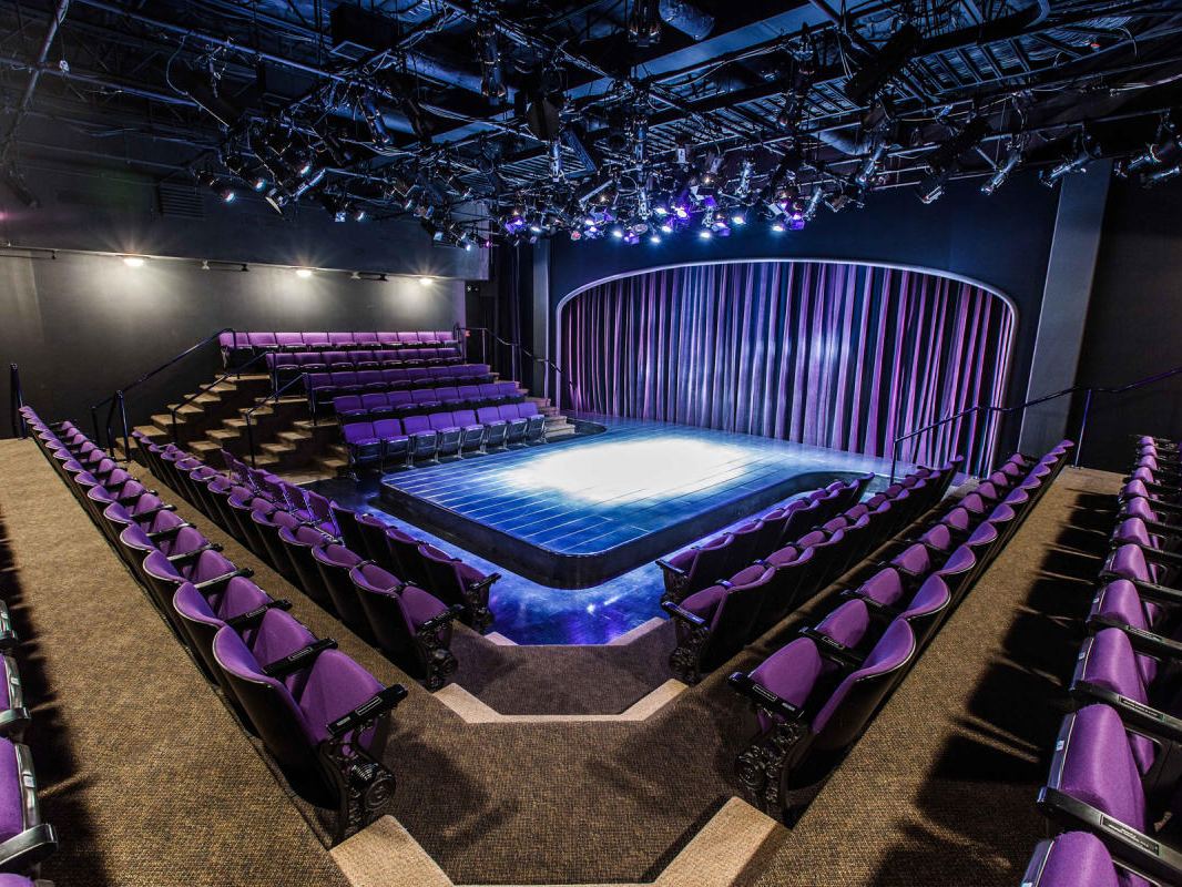 Purple Rose Theatre Company — Arts and Entertainment