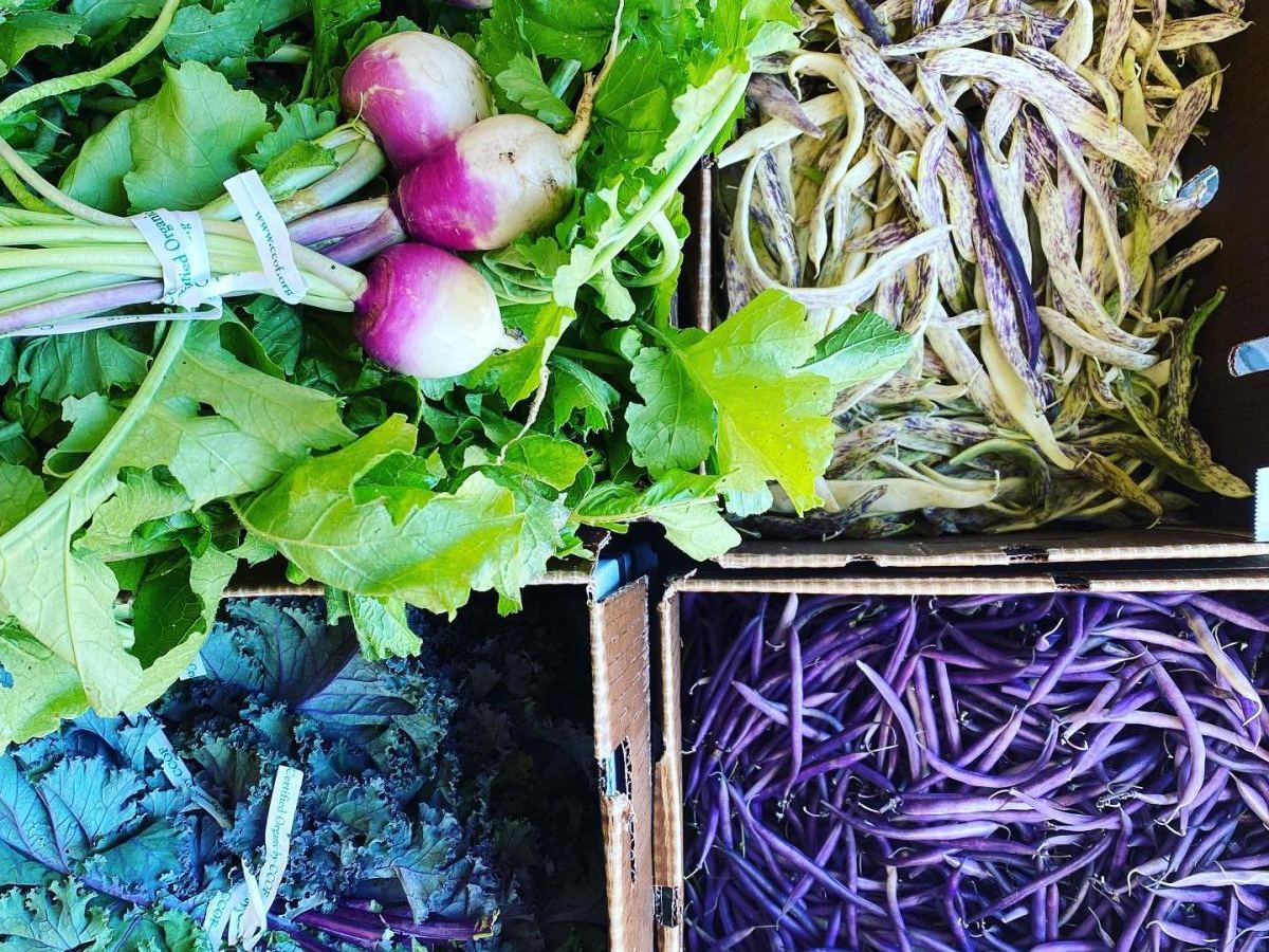 The Produce Station — Grocery