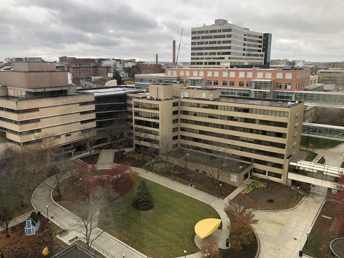 University of Michigan Health System — Health Services