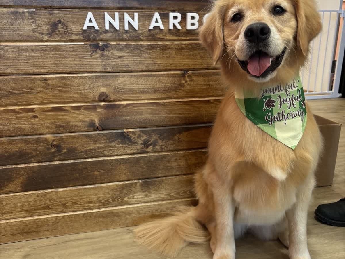 Woof Gang Grooming and Bakery — Pets
